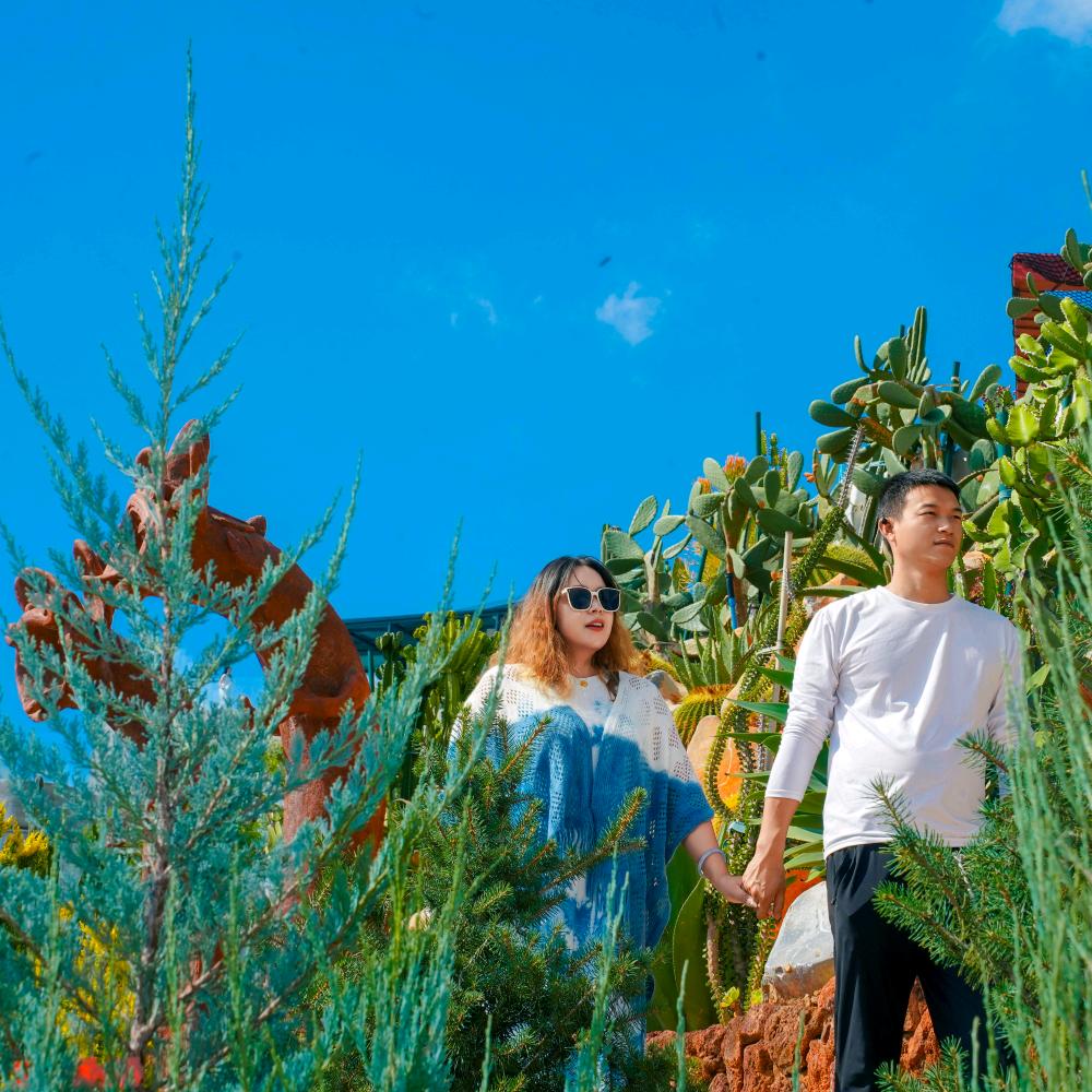 犯二林先生挚爱