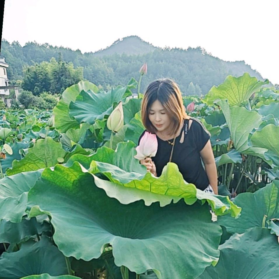 熊熊