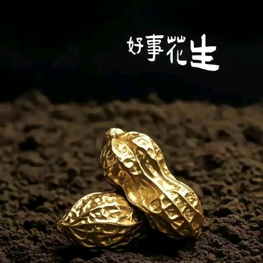 🌤 ◡̈°  一路向阳「好物在橱窗」