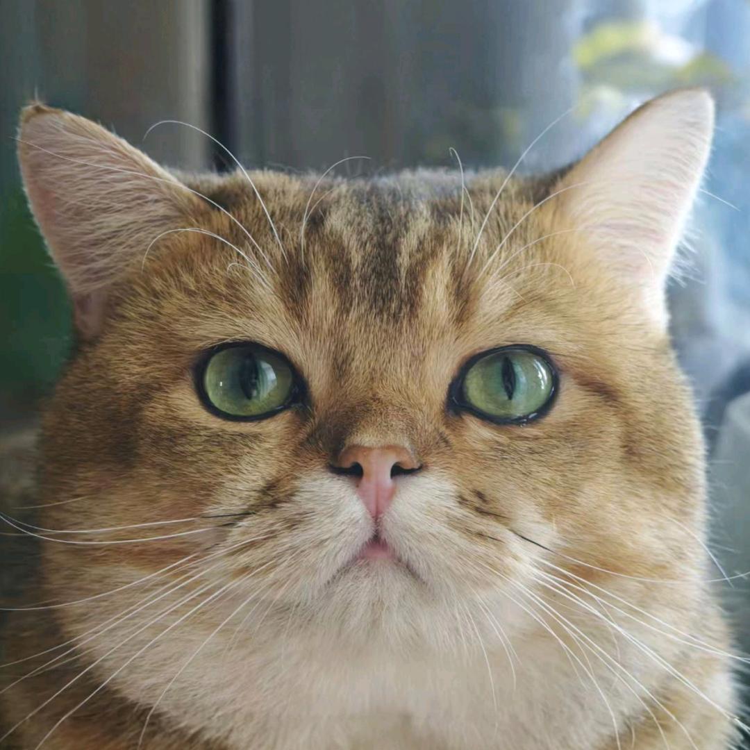 336