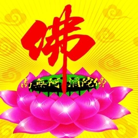 山里老虎哥