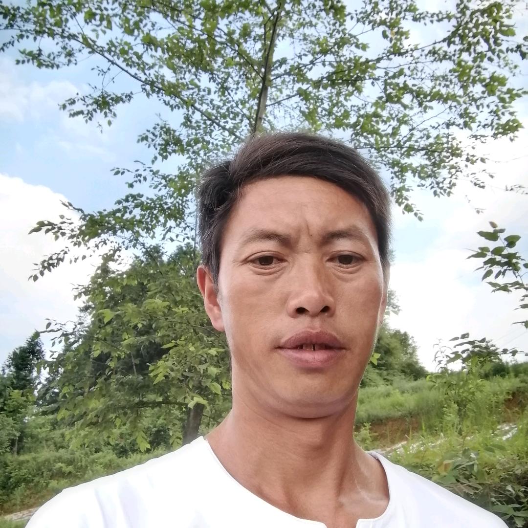 独在一方的狼。