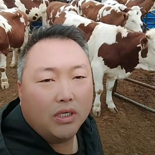 @老兵养牛（铁骨铮铮）