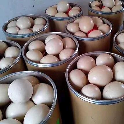 鸿运孵化源头工厂