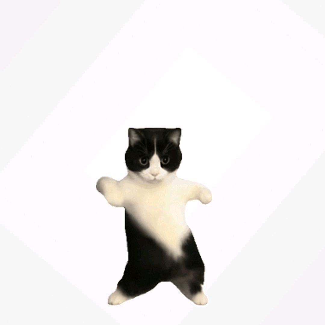 玉兔