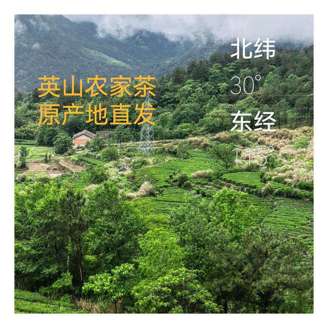 英山农家茶
