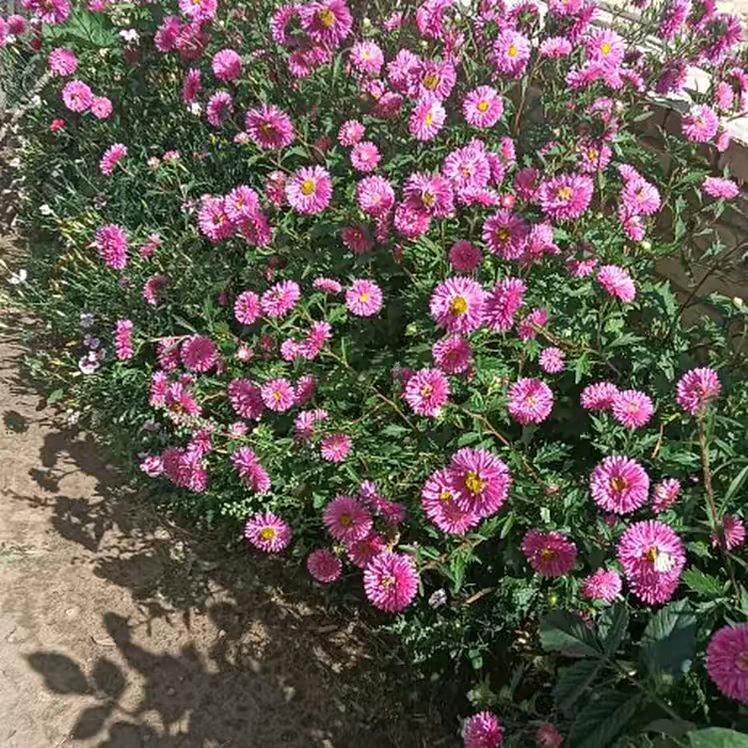 做人留一线，今后好相见。陈。