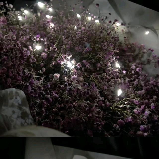 开心（三角洲行动）