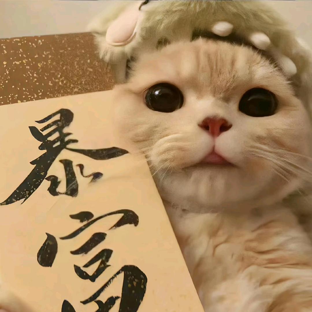 财神爷的小宝贝