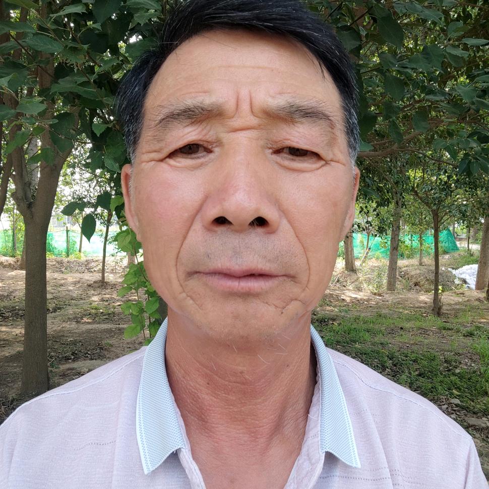 纪停哥
