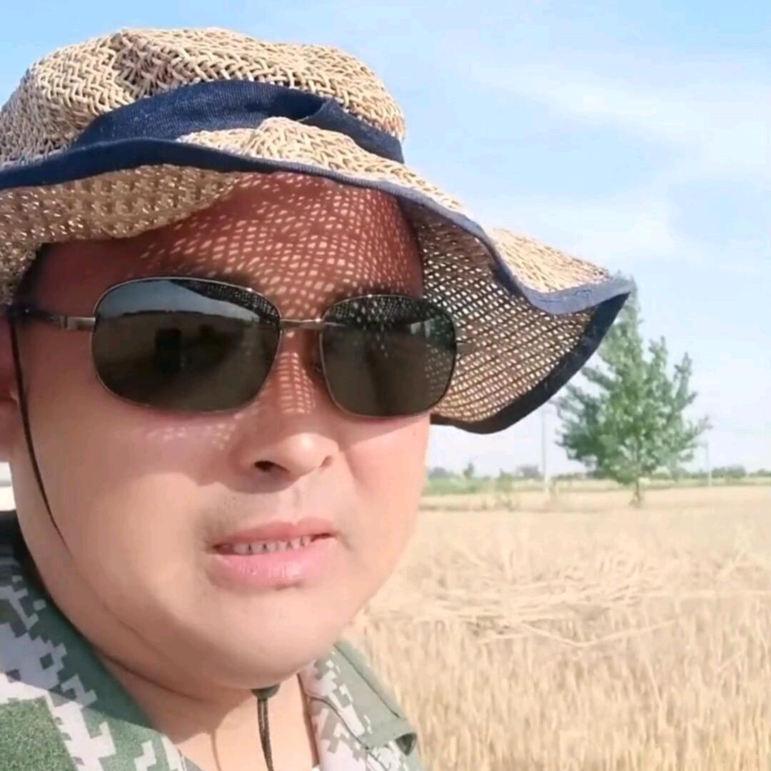 与狼共舞