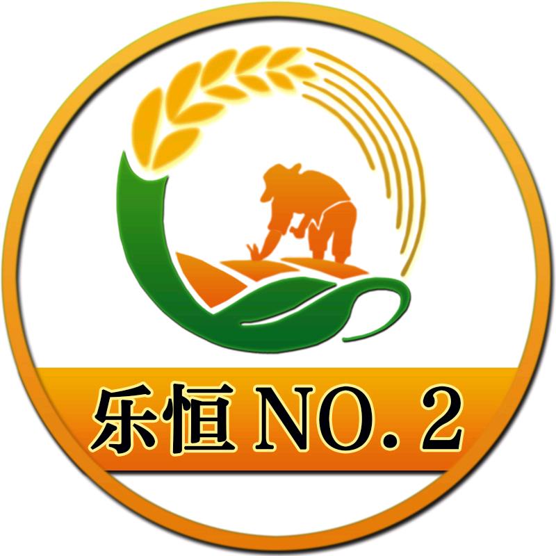 郑州乐恒 No.2 店