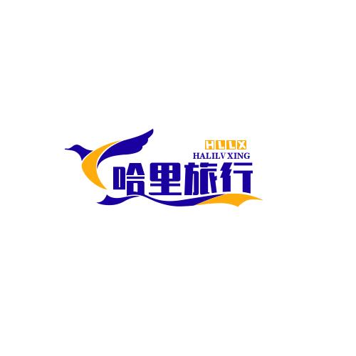 哈里旅行—包机票亲子游
