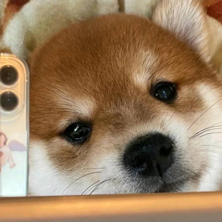 悦悦精选