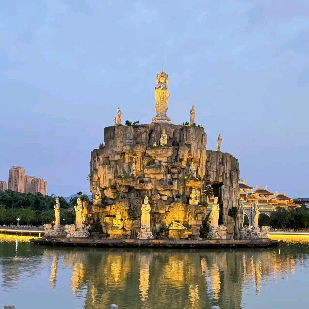 明年会更好
