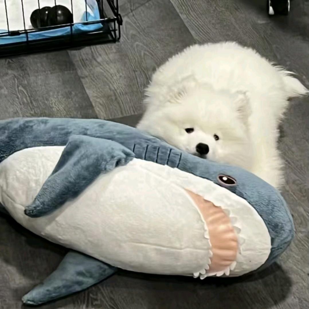 浅色湾