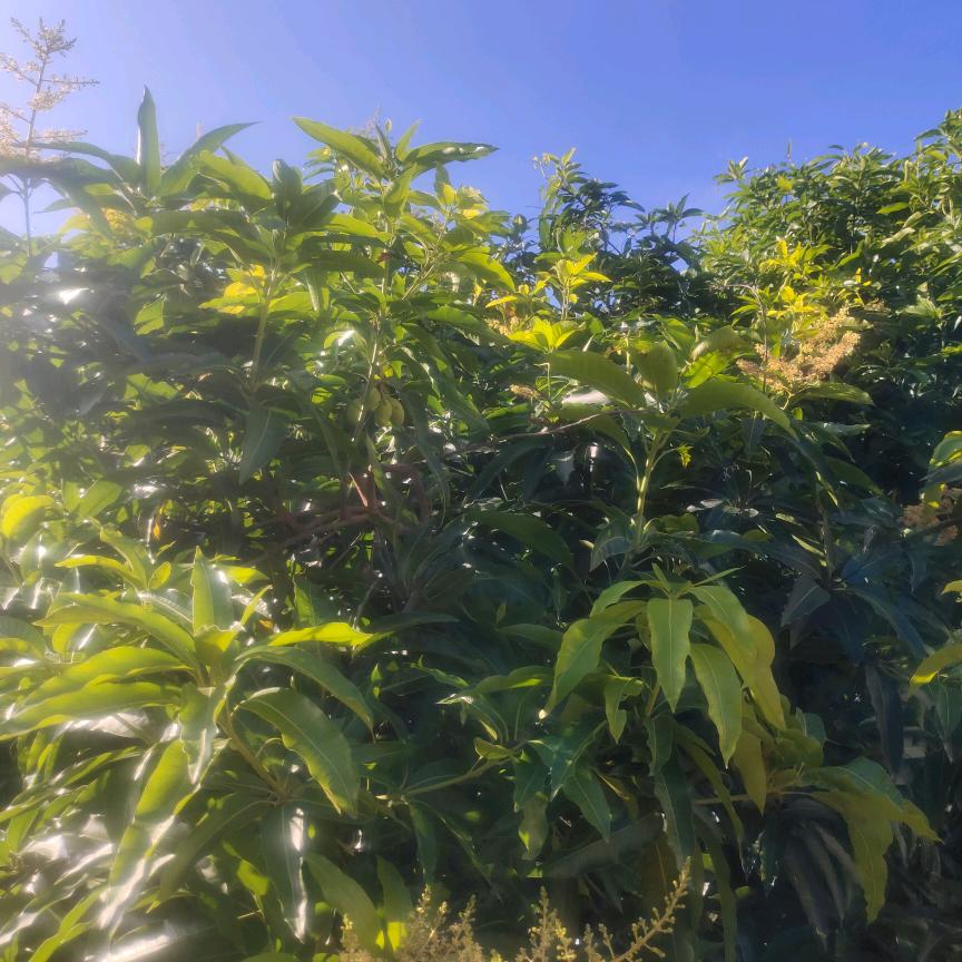 时间长河的里尘埃