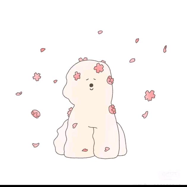 李tt
