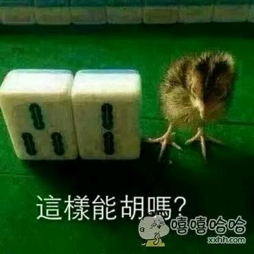 meet