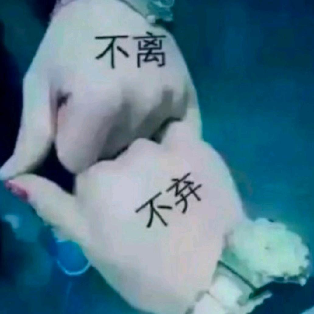月月