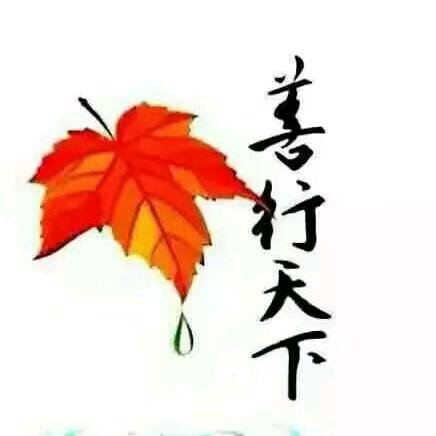 楓業正紅
