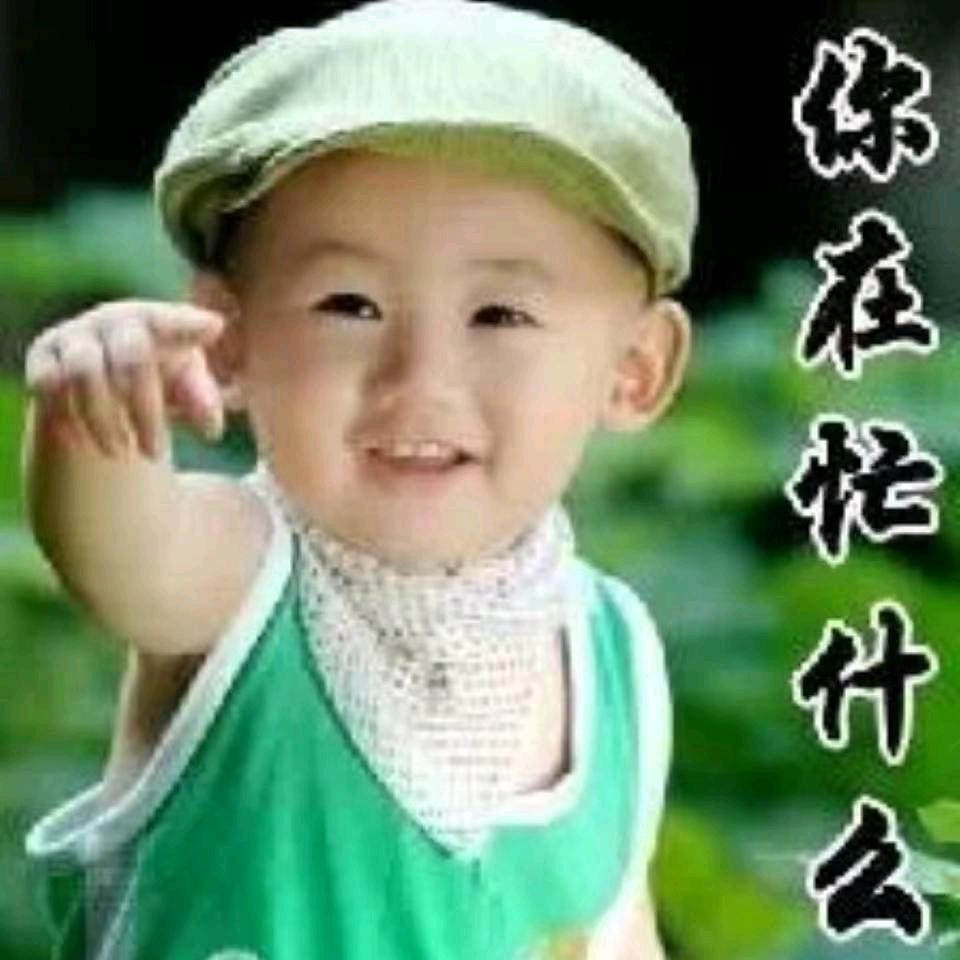 勇敢的心用户935339