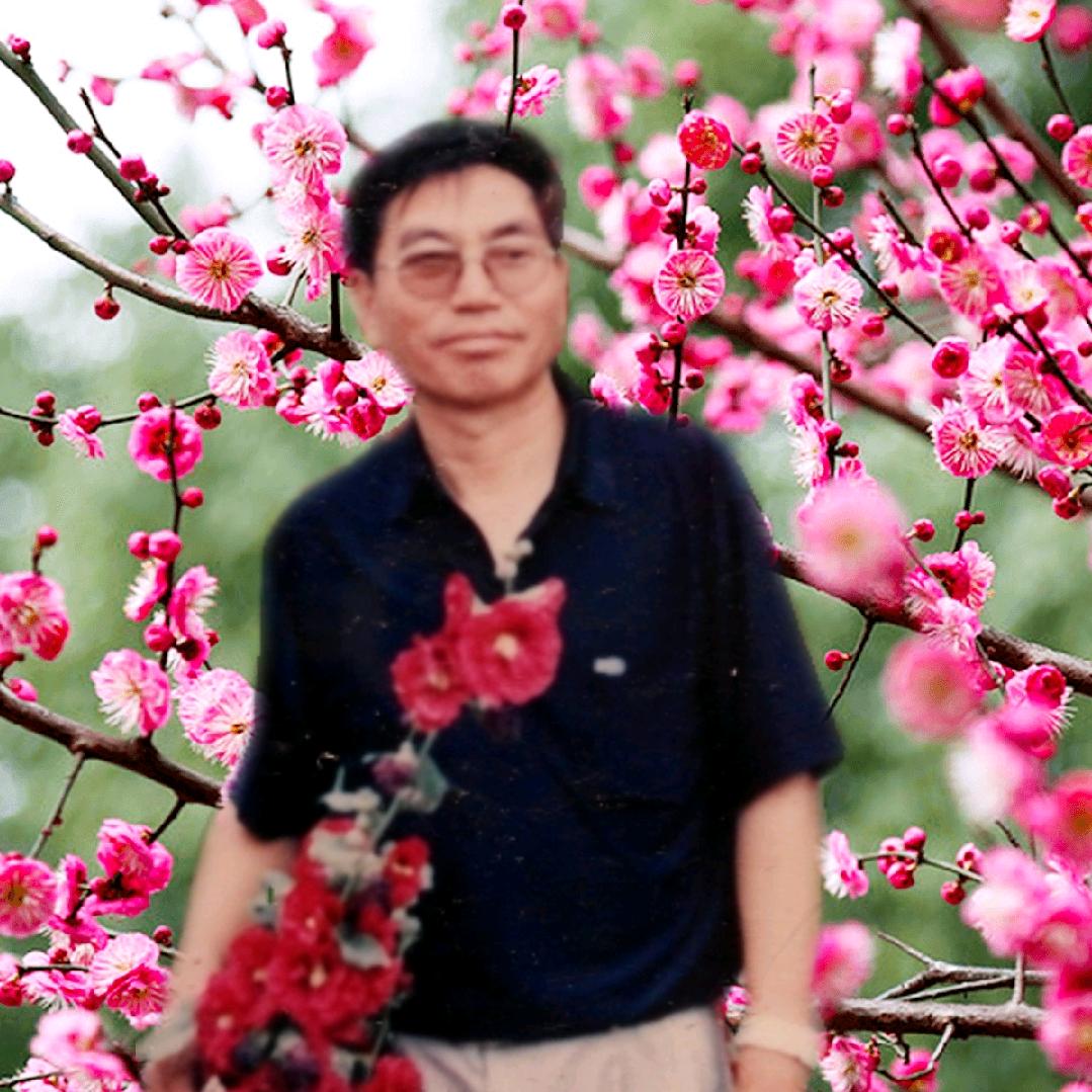 太美了