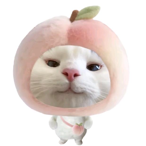 泡泡