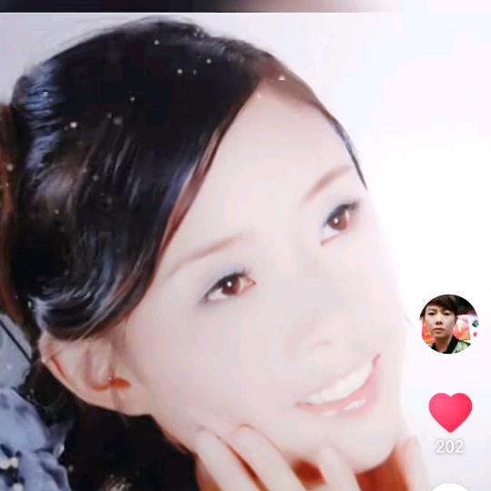 衣网