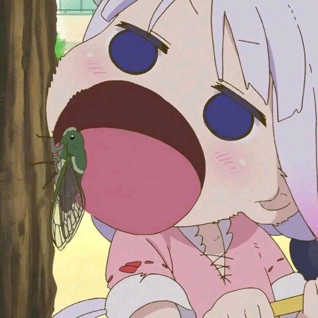 小氿.