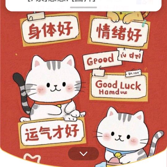 梦想起航