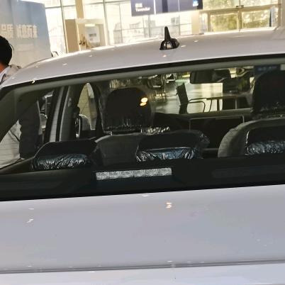 孤单的我