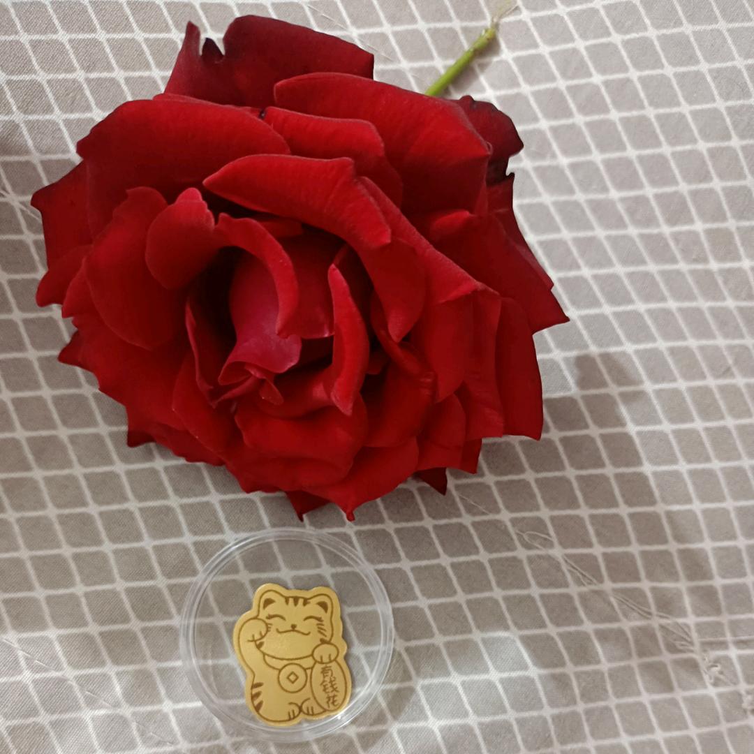封心锁爱