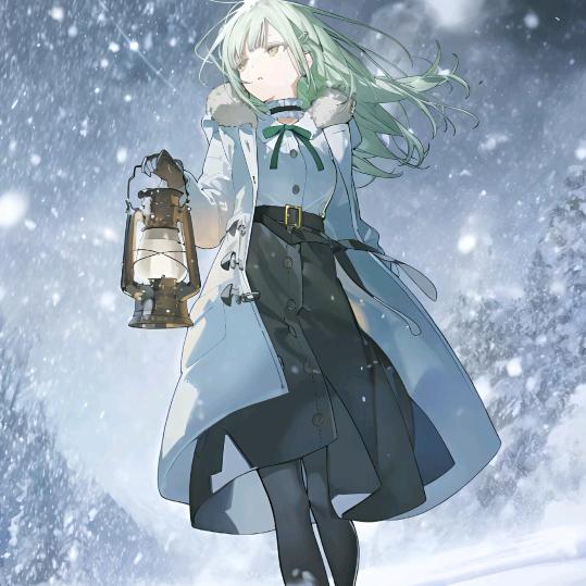 朔风踏雪Y