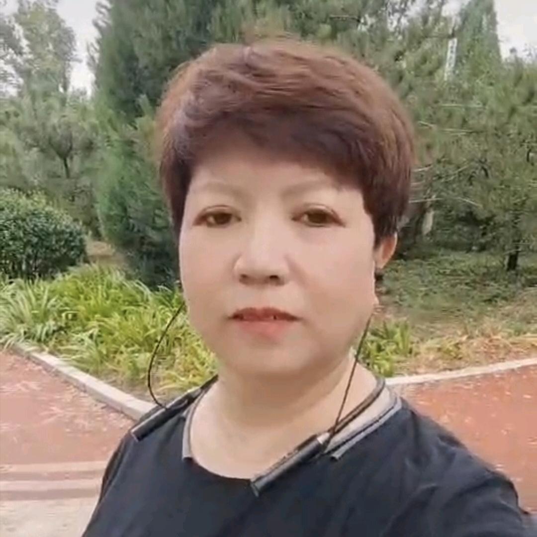 鑫旺259