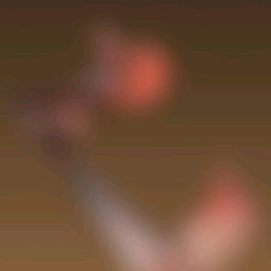 光遇