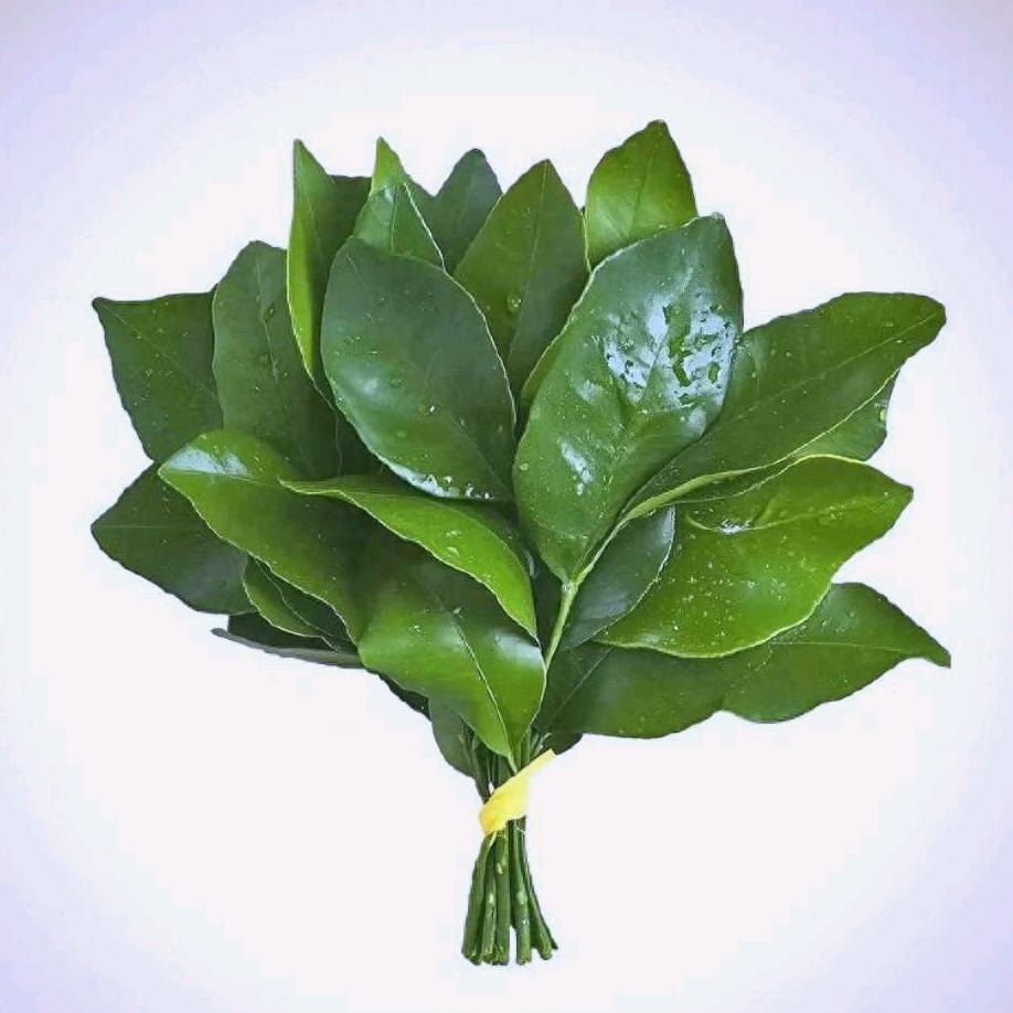 TIAN
