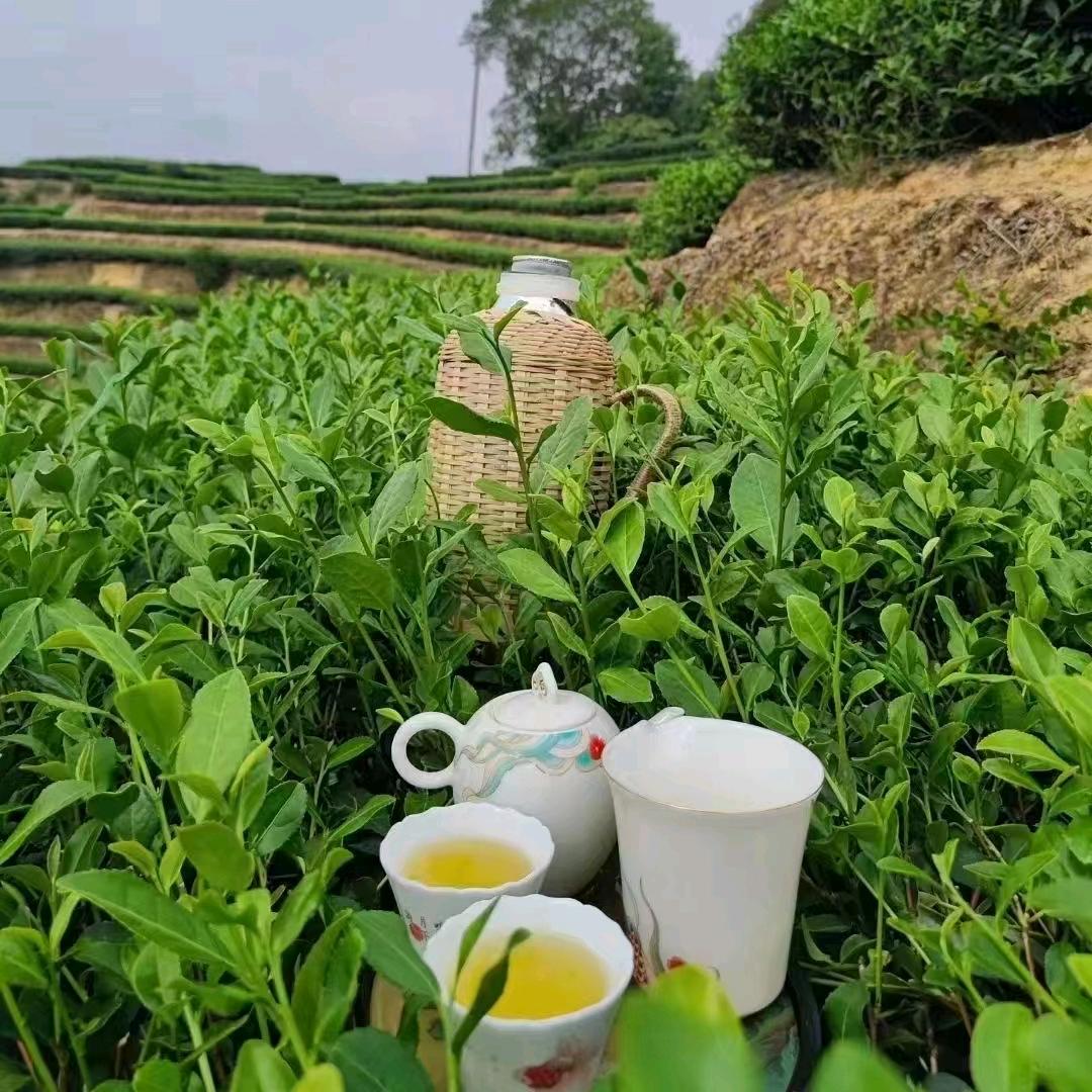 缘来是你✔