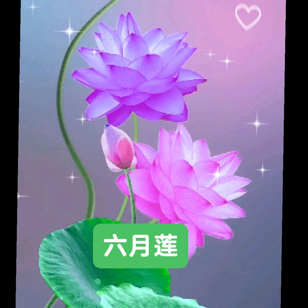 徐姐
