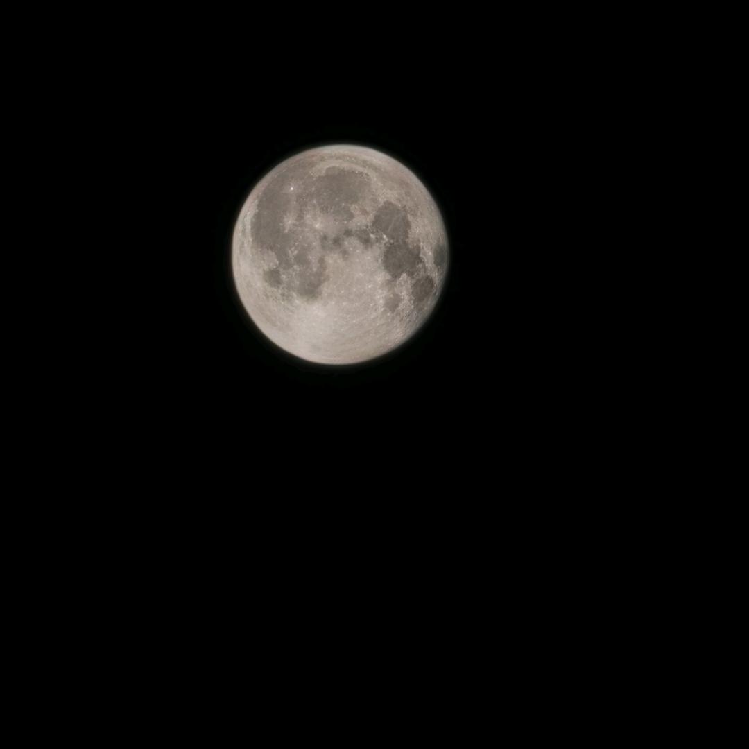 社会化全人学院