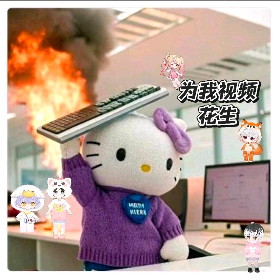 零点前睡觉