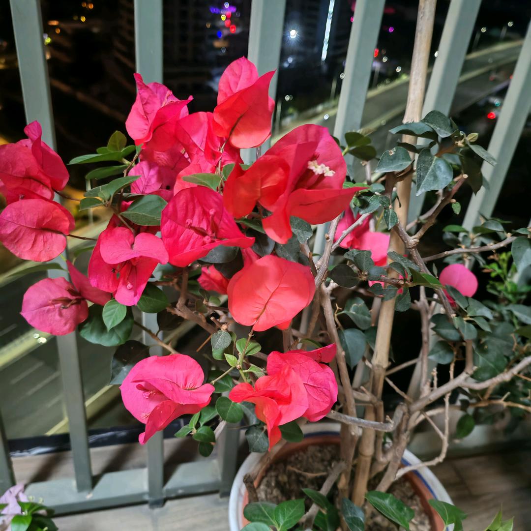 @闪闪