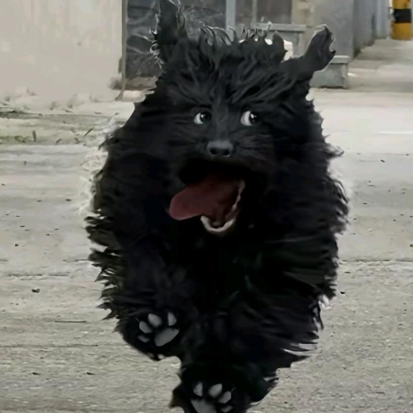Nacho