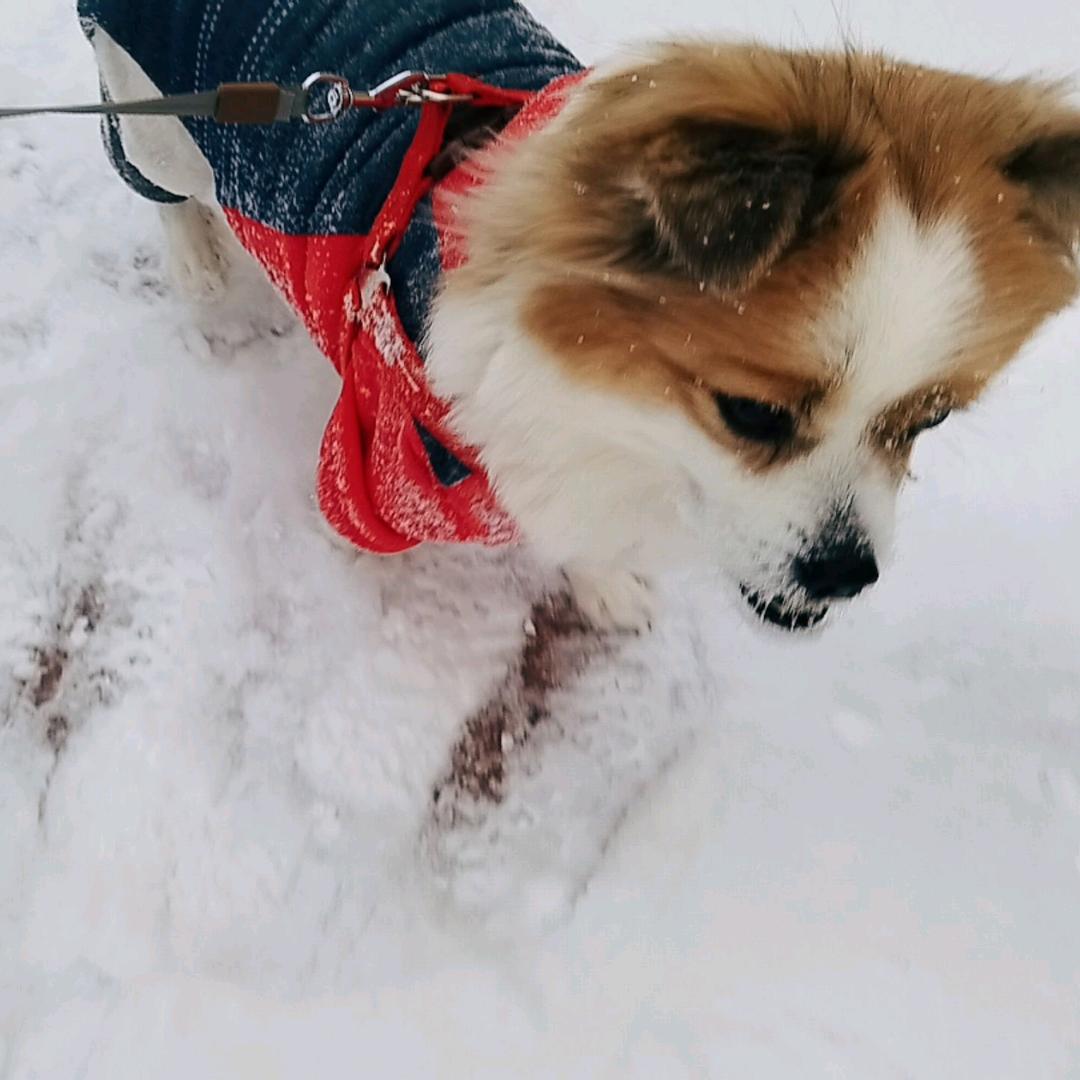 心静如水