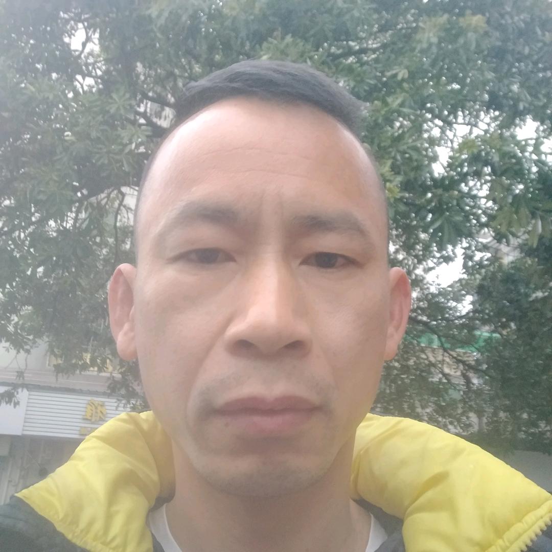 广东大熊