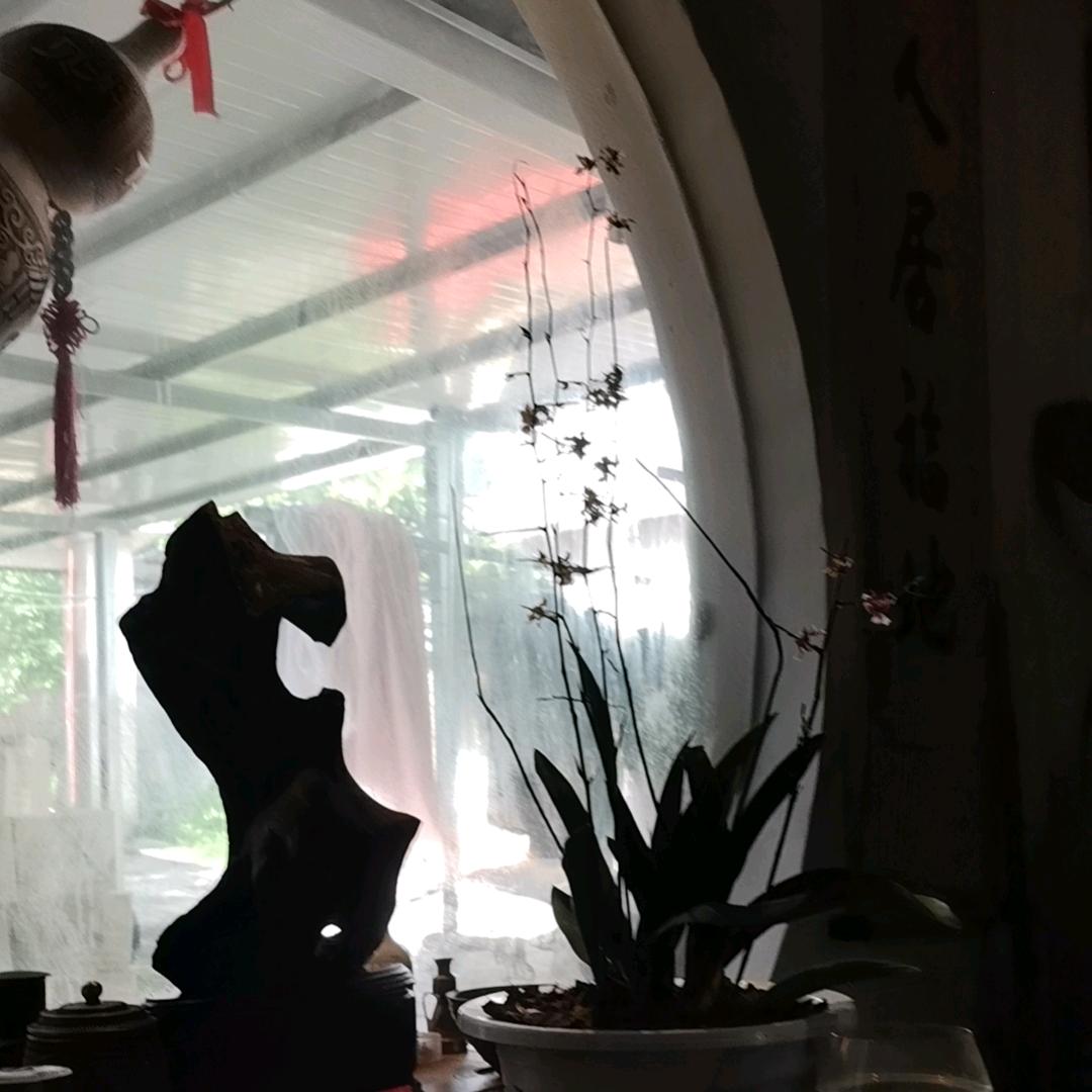 大慧唐王道长一侘一寂