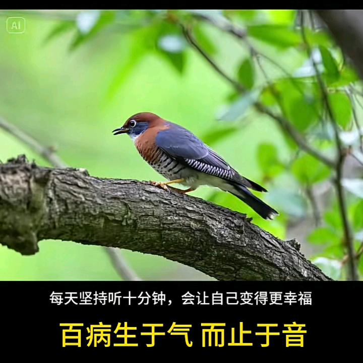 天地人和，老魏
