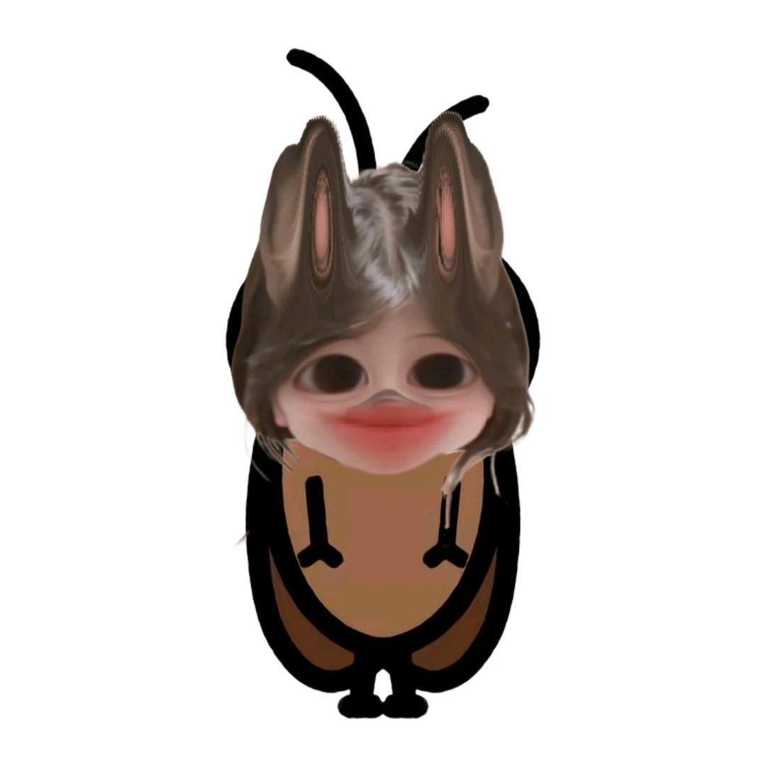 荷苒