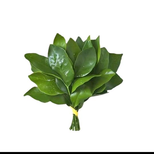 笑格锤子
