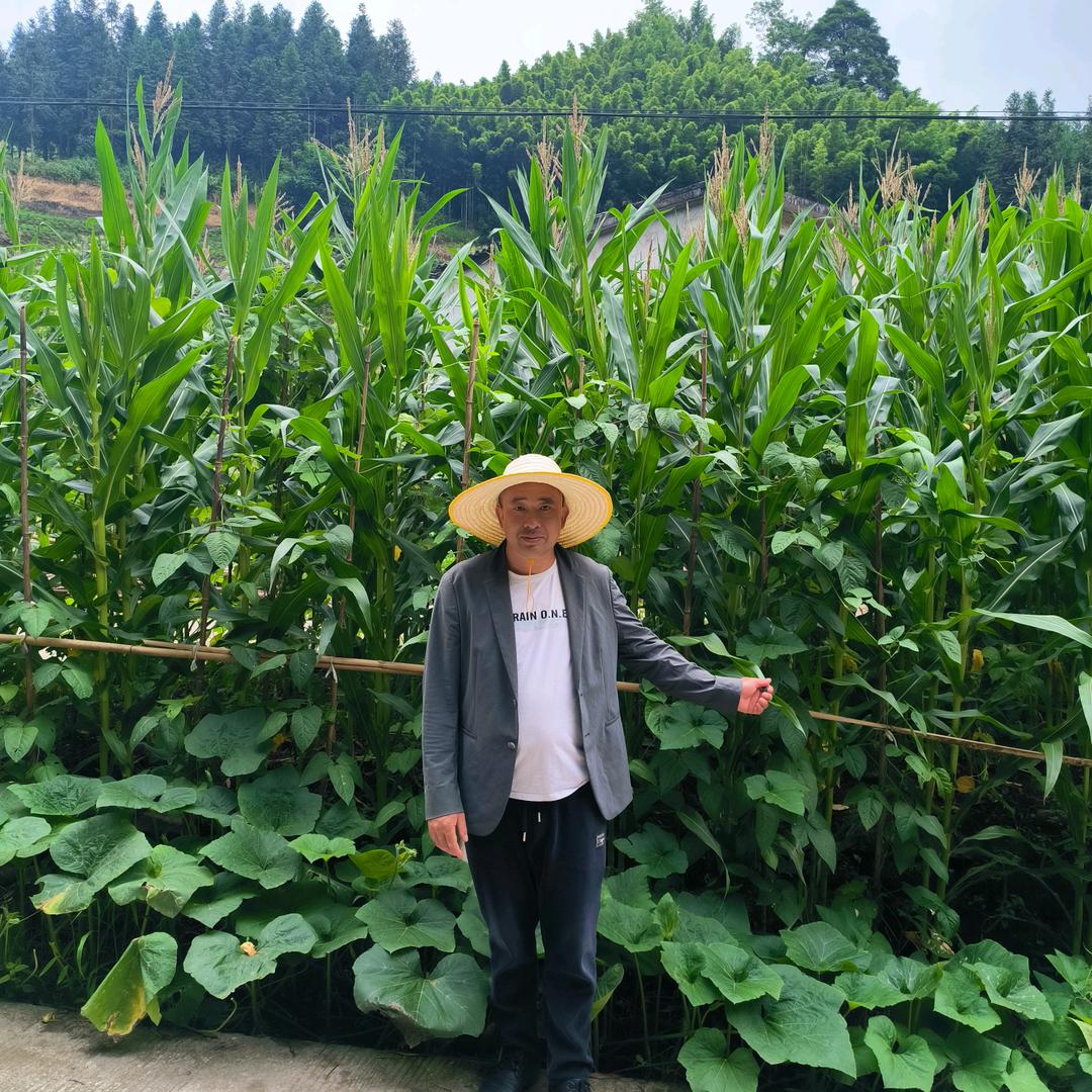 乡村绿野直供站
